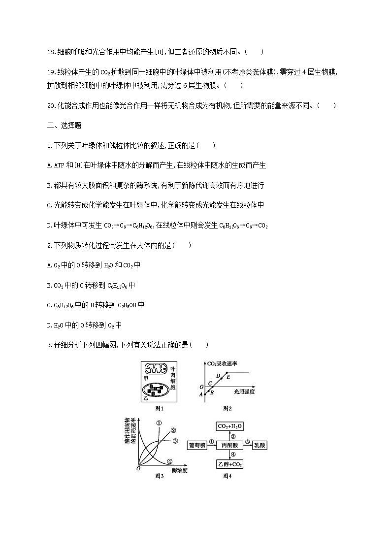 高考生物二轮复习专题能力训练4光合作用和细胞呼吸（含答案）第2页