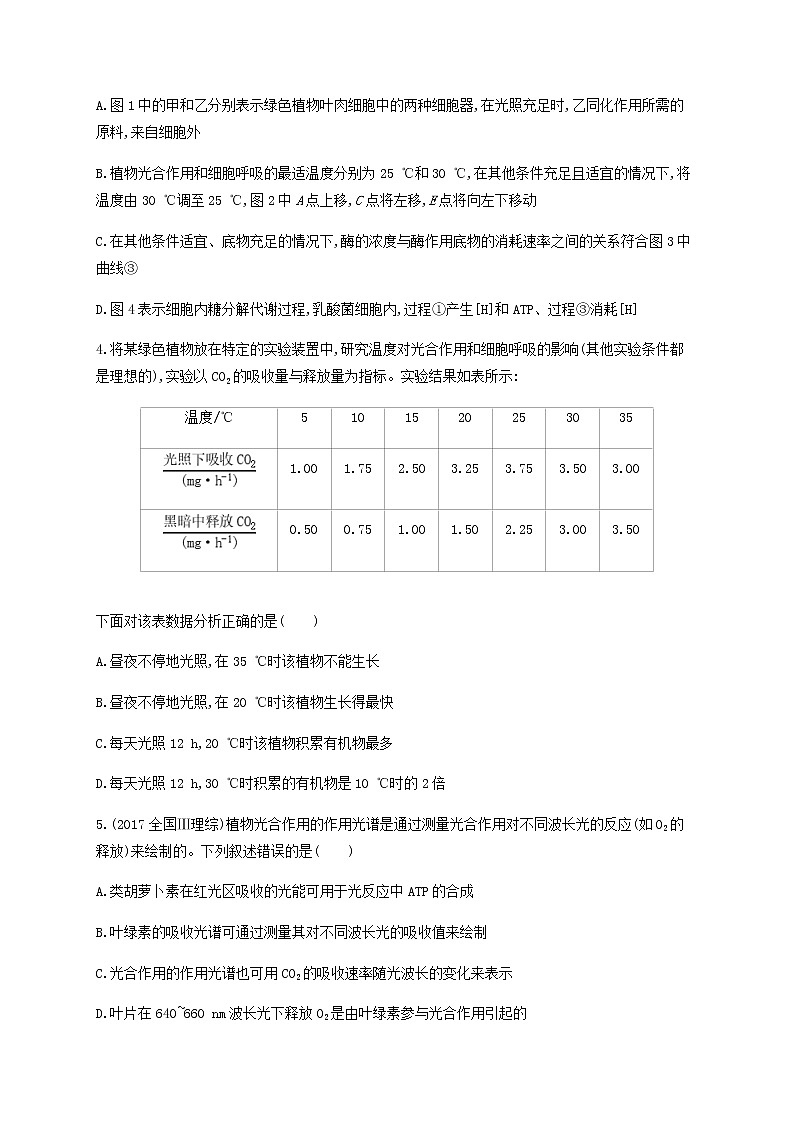 高考生物二轮复习专题能力训练4光合作用和细胞呼吸（含答案）第3页