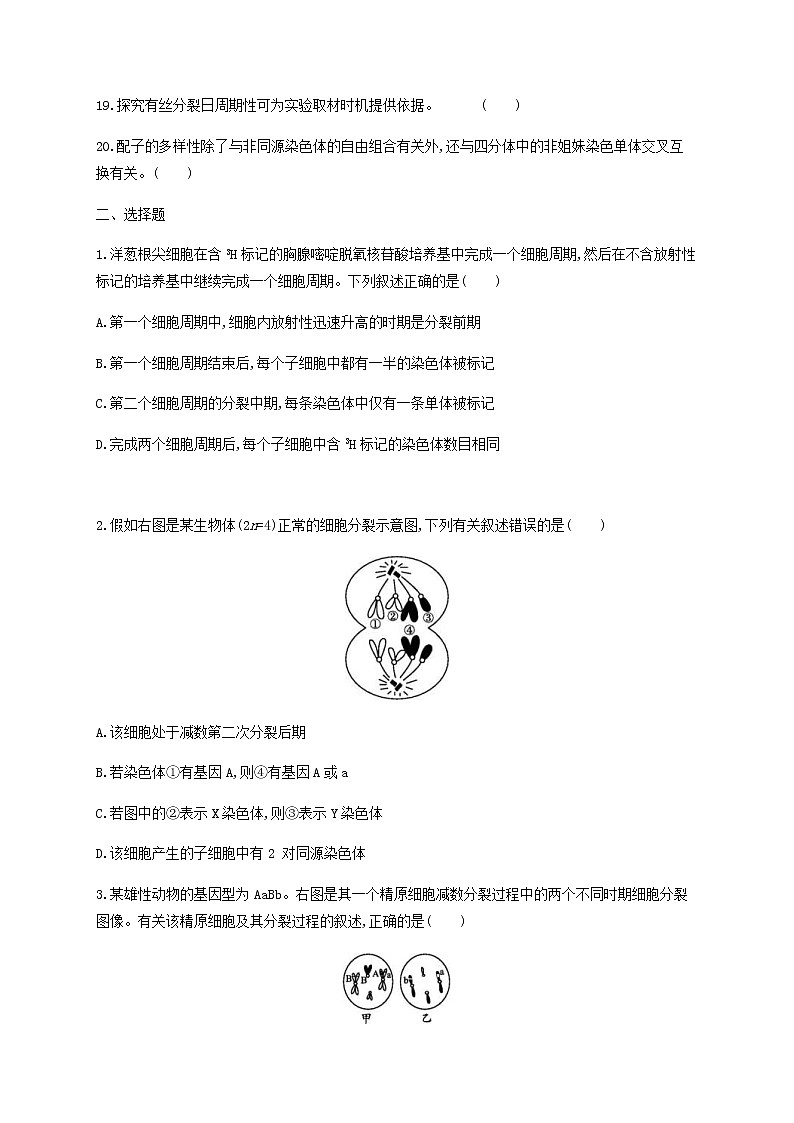 高考生物二轮复习专题能力训练5细胞的增殖和受精作用（含答案）第2页