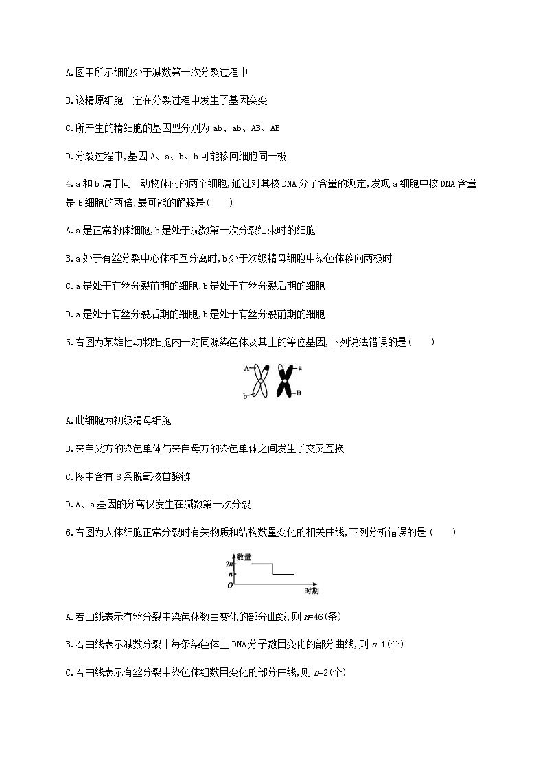 高考生物二轮复习专题能力训练5细胞的增殖和受精作用（含答案）第3页