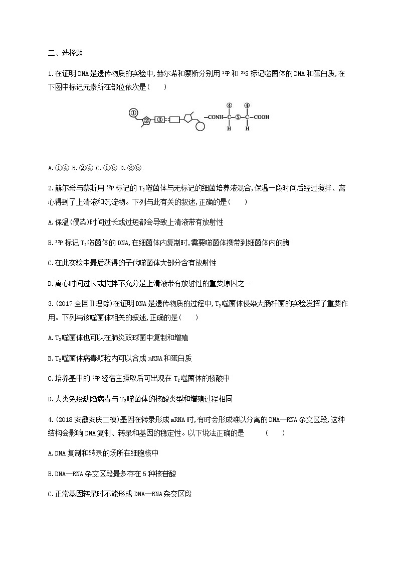 高考生物二轮复习专题能力训练7遗传的分子基础（含答案）第2页