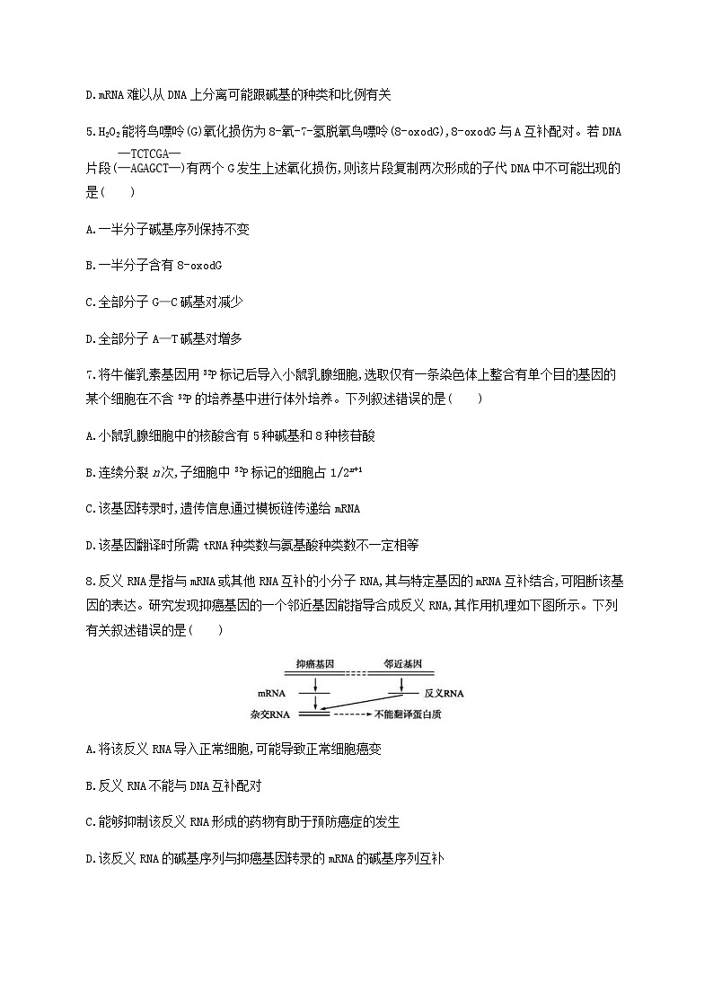 高考生物二轮复习专题能力训练7遗传的分子基础（含答案）第3页