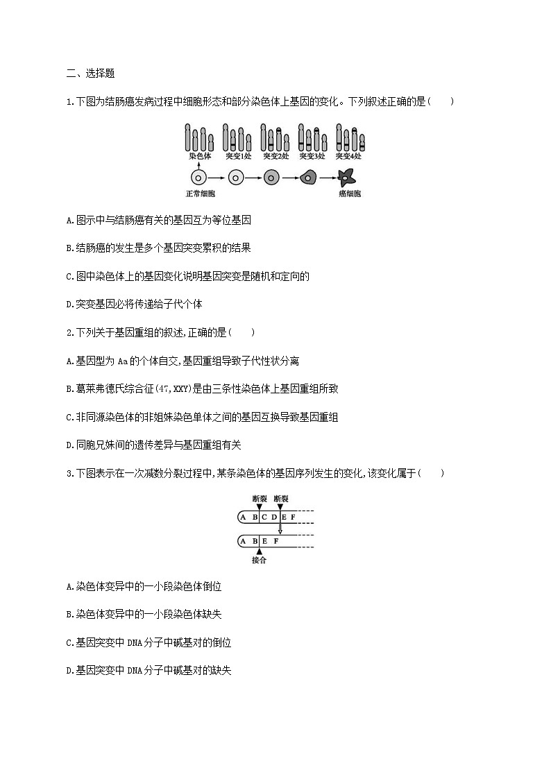 高考生物二轮复习专题能力训练9变异育种和进化（含答案）第2页