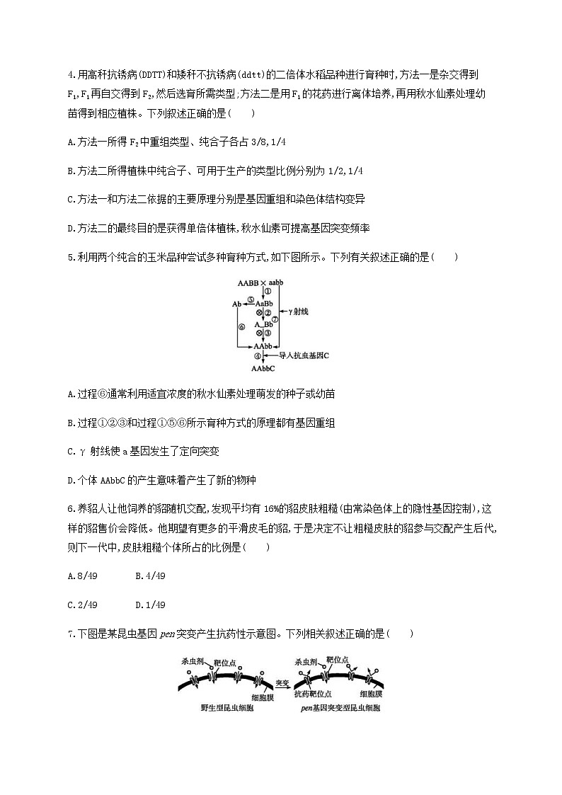 高考生物二轮复习专题能力训练9变异育种和进化（含答案）第3页