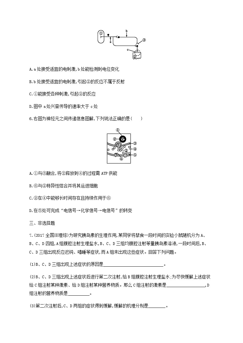 高考生物二轮复习专题能力训练10神经调节和激素调节（含答案）第3页