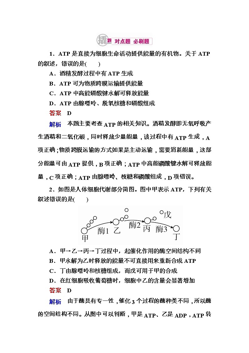 高考生物一轮对点训练：4-3 细胞的能量“通货”——ATP b Word版含解析01