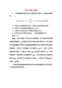 高考生物一轮对点训练：5-1 有氧呼吸与无氧呼吸 b Word版含解析