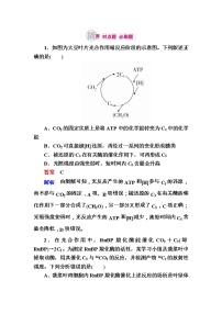 高考生物一轮对点训练：6-2 光合作用的原理和应用 b Word版含解析