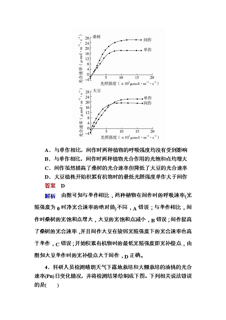 高考生物一轮对点训练：6-3 光合作用与细胞呼吸的关系 b Word版含解析第3页