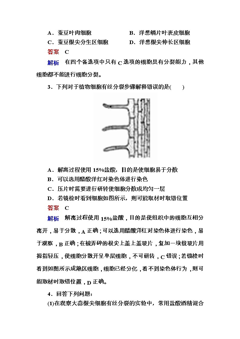高考生物一轮对点训练：7-2 细胞有丝分裂的观察 b Word版含解析第2页