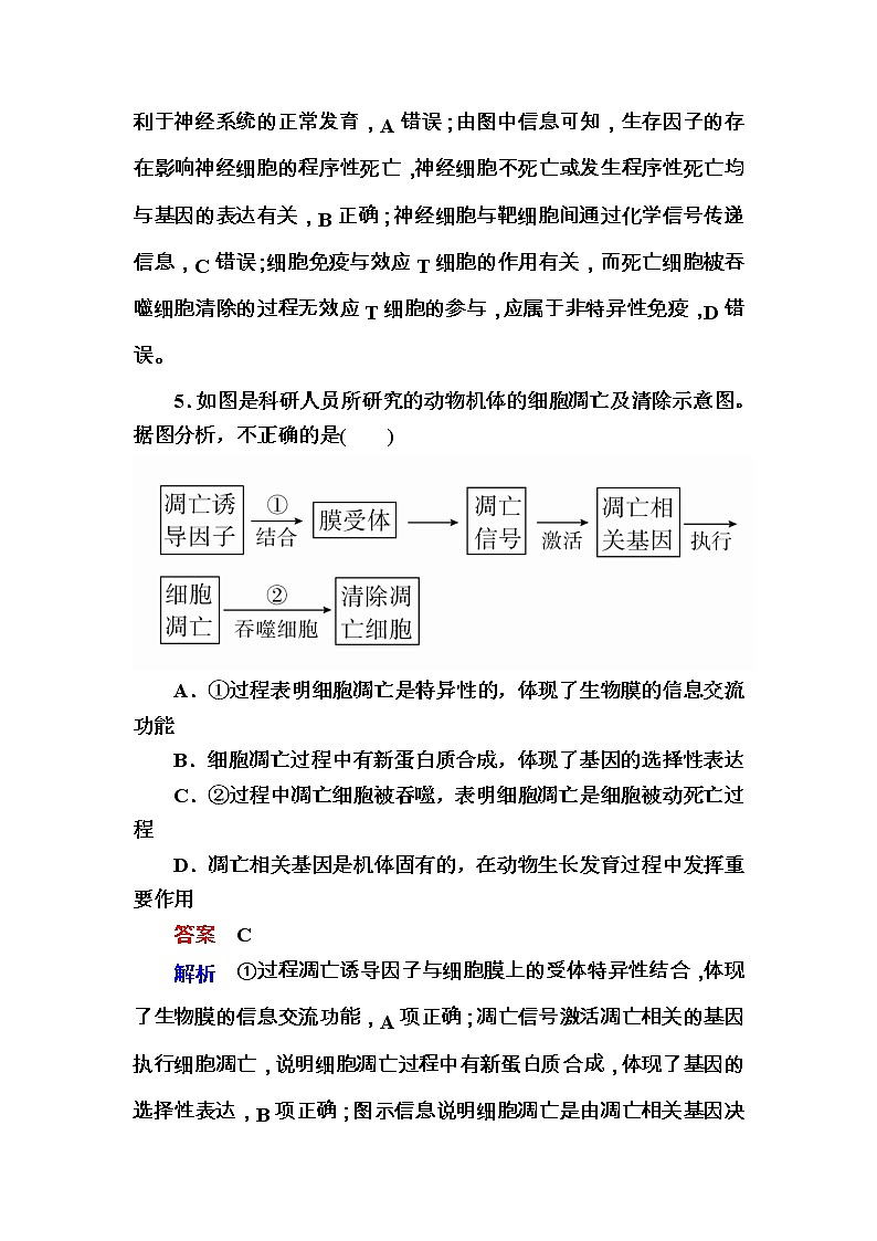 高考生物一轮对点训练：8-2 细胞的衰老、凋亡与癌变 b Word版含解析03
