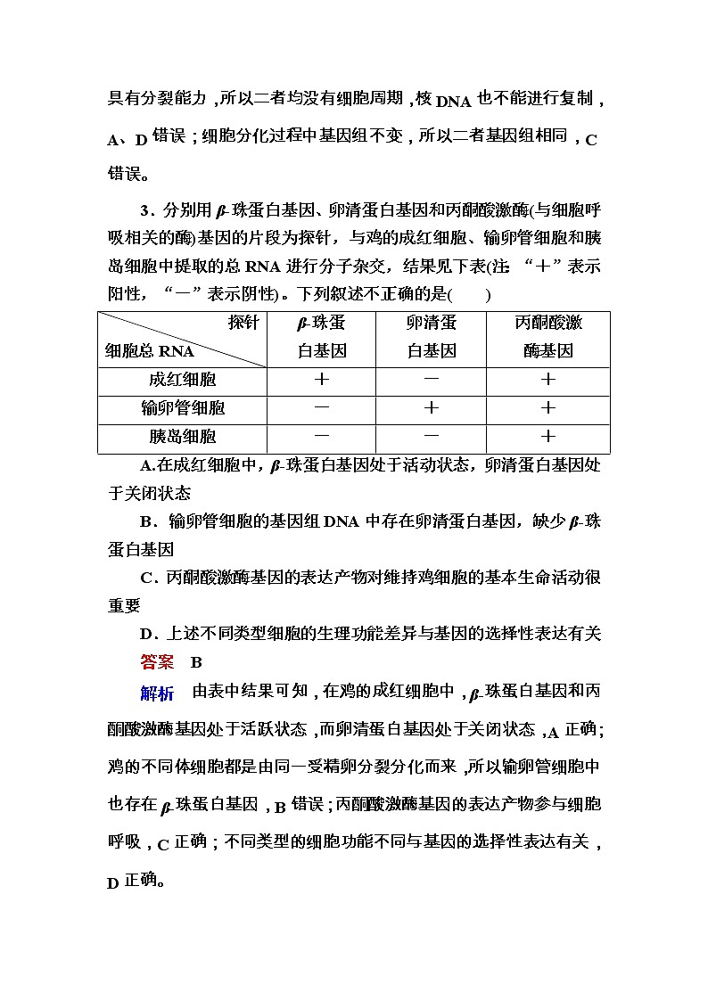 高考生物一轮对点训练：8-1 细胞的分化与全能性 b Word版含解析02