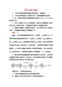 高考生物一轮对点训练：9-2 有丝分裂与减数分裂的综合 b Word版含解析