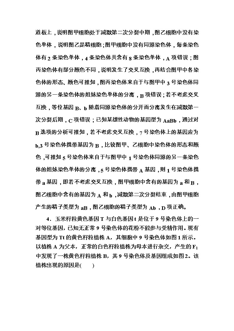 高考生物一轮对点训练：9-2 有丝分裂与减数分裂的综合 b Word版含解析第3页