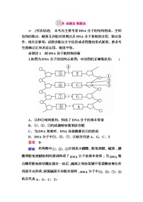 高考生物一轮对点训练：10-2 DNA的结构与复制 a Word版含解析