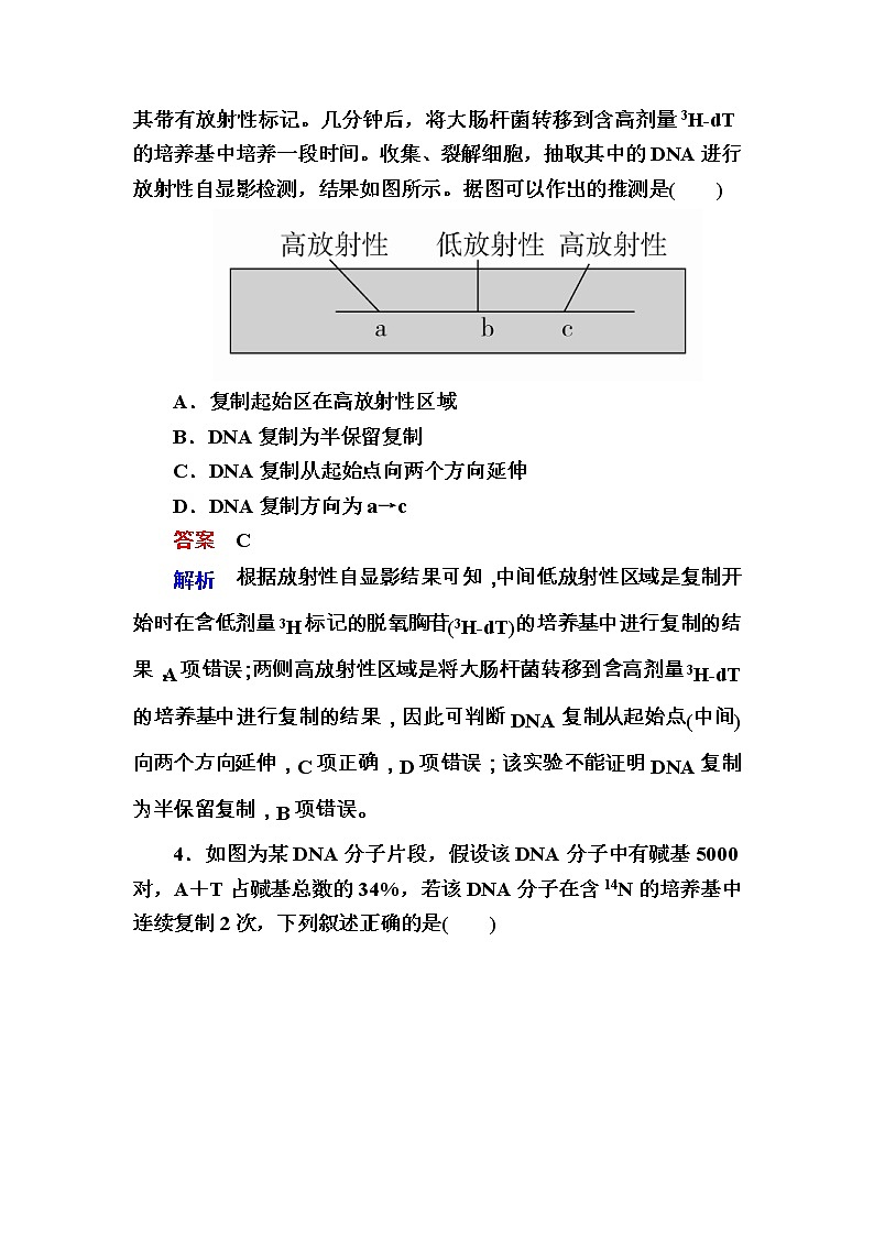 高考生物一轮对点训练：10-2 DNA的结构与复制 a Word版含解析03