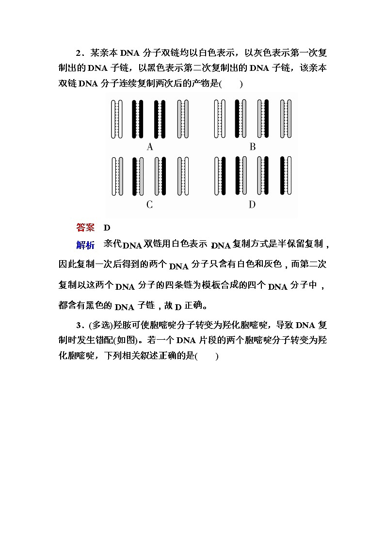 高考生物一轮对点训练：10-2 DNA的结构与复制 b Word版含解析第2页