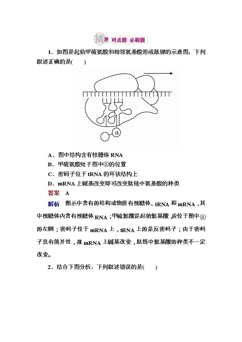 高考生物一轮对点训练：10-3 基因的表达 b Word版含解析第1页