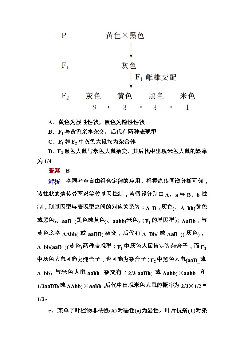高考生物一轮对点训练：12-1 自由组合定律及应用 b Word版含解析第3页