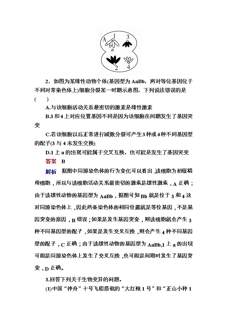 高考生物一轮对点训练：14-2 基因重组 b Word版含解析第2页