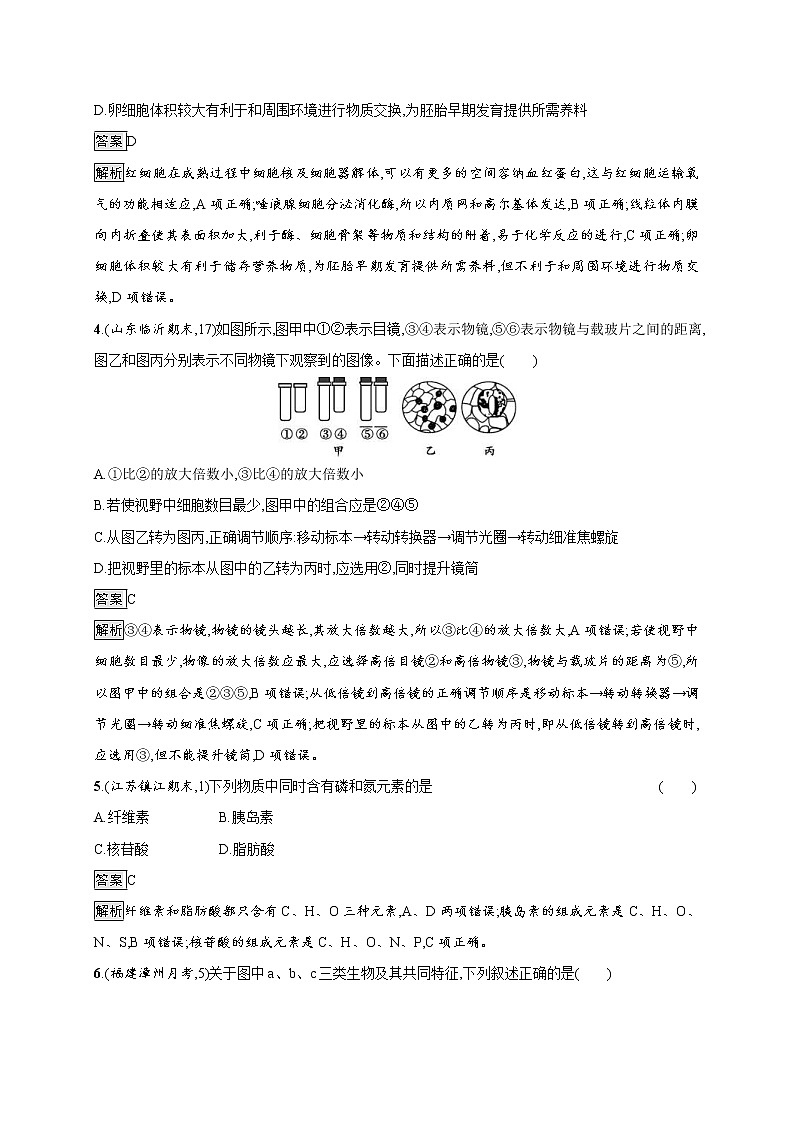 高考生物一轮复习考点规范练01《走近细胞　细胞中的元素和化合物、细胞中的无机物》（含详解）第2页