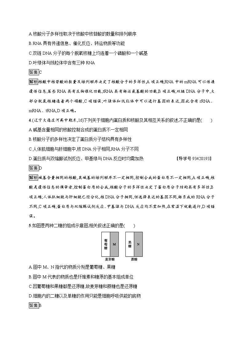 高考生物一轮复习考点规范练03《遗传信息的携带者--核酸　细胞中的糖类和脂质》（含详解）第2页