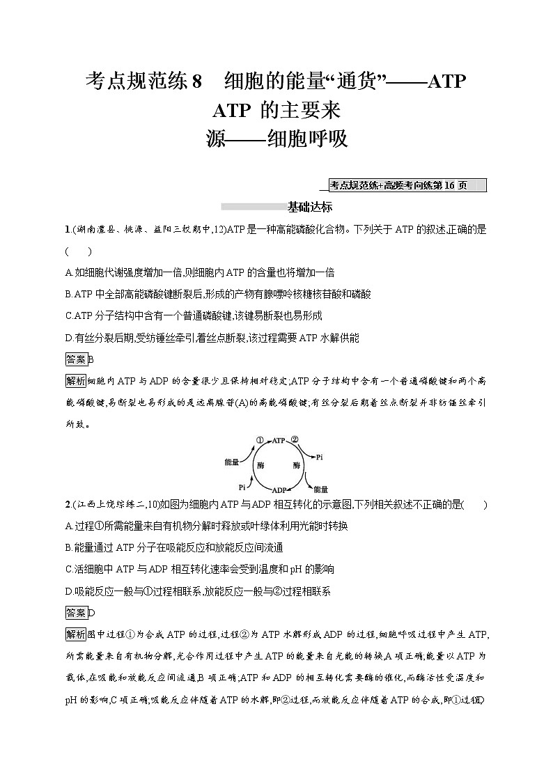 高考生物一轮复习考点规范练08《细胞的能量“通货”--ATP　ATP的主要来源--细胞呼》（含详解）01