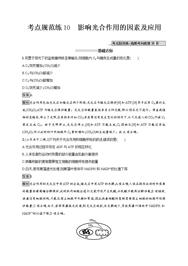 高考生物一轮复习考点规范练10《影响光合作用的因素及应用》（含详解）01
