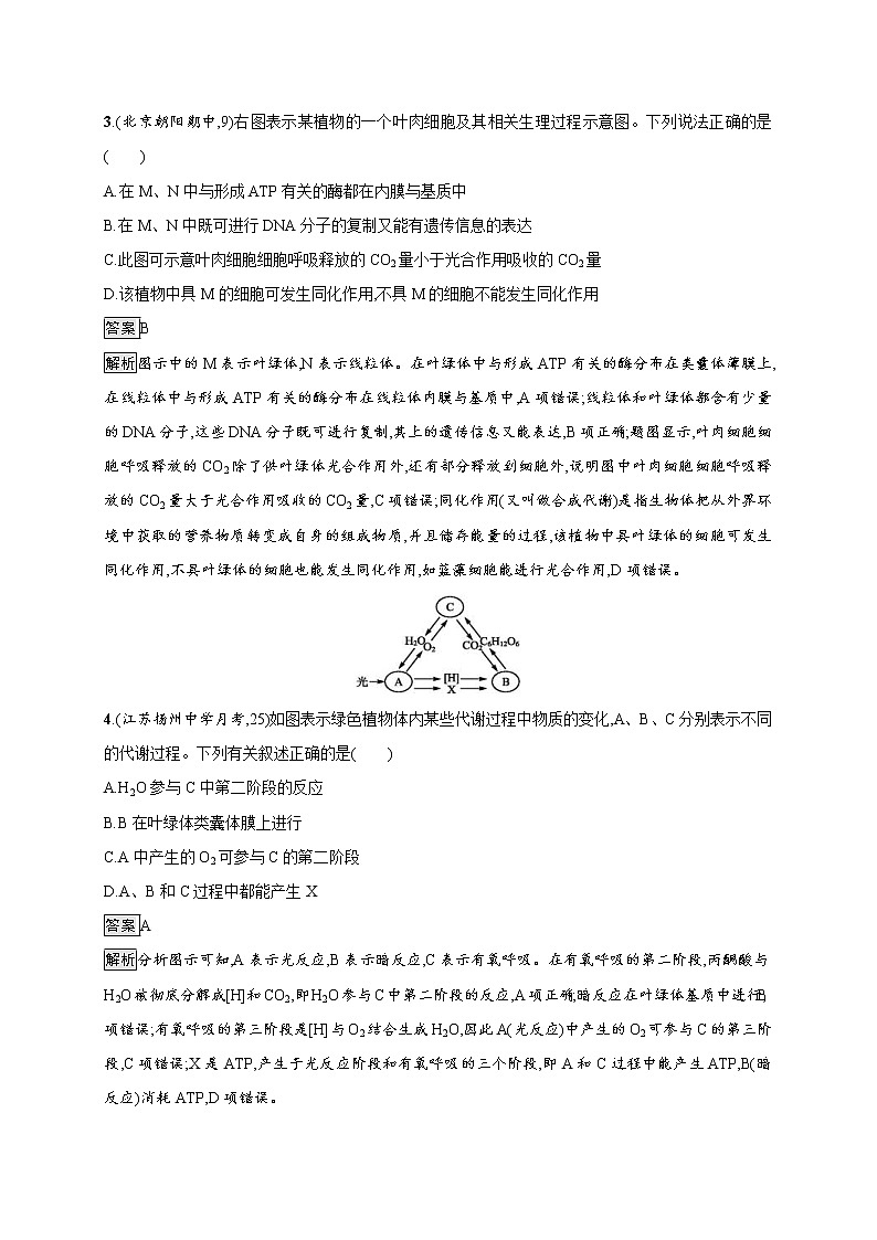 高考生物一轮复习考点规范练10《影响光合作用的因素及应用》（含详解）02