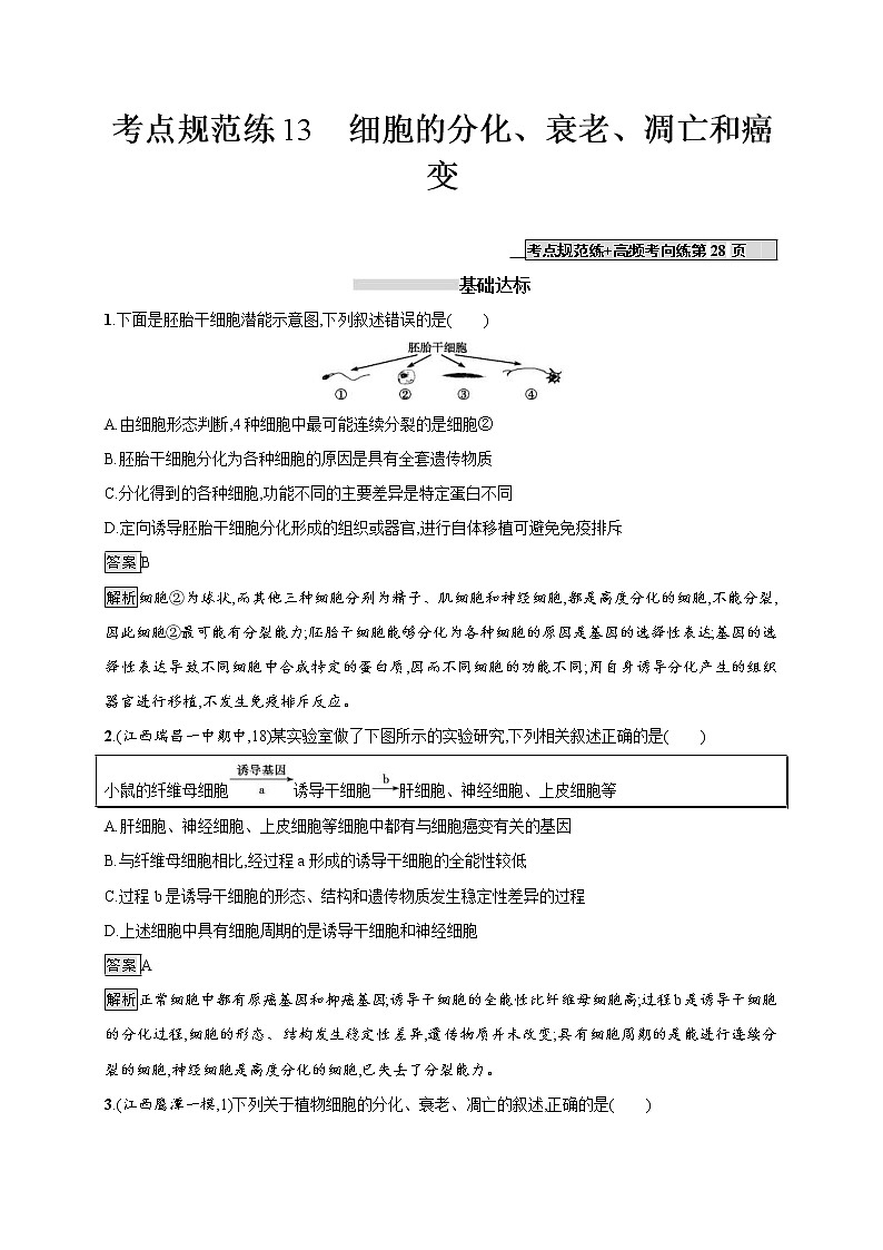 高考生物一轮复习考点规范练13《细胞的分化、衰老、凋亡和癌变》（含详解）第1页