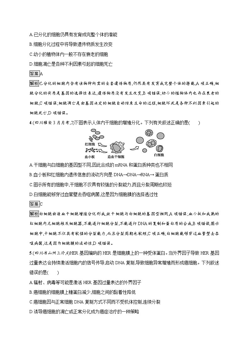 高考生物一轮复习考点规范练13《细胞的分化、衰老、凋亡和癌变》（含详解）第2页