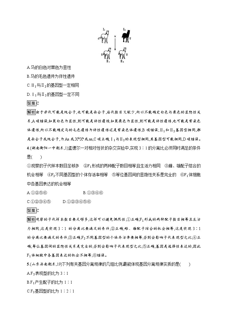 高考生物一轮复习考点规范练14《孟德尔的豌豆杂交实验（一）》（含详解）02