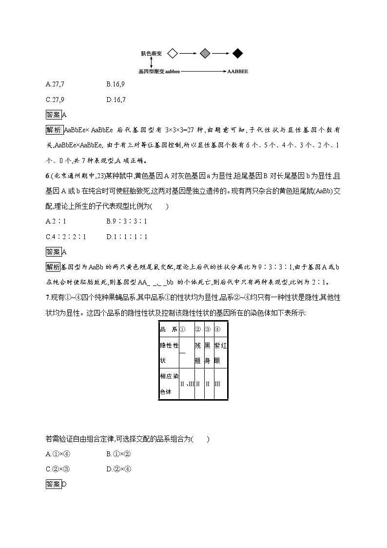 高考生物一轮复习考点规范练15《孟德尔的豌豆杂交实验（二）》（含详解）第3页