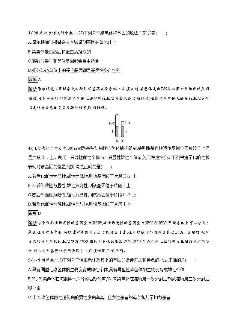 高考生物一轮复习考点规范练16《基因在染色体上　伴性遗传》（含详解）02