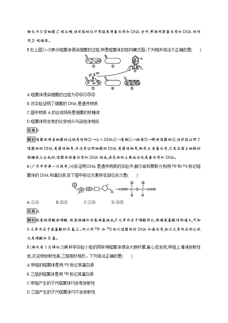 高考生物一轮复习考点规范练18《DNA是主要的遗传物质》（含详解）02