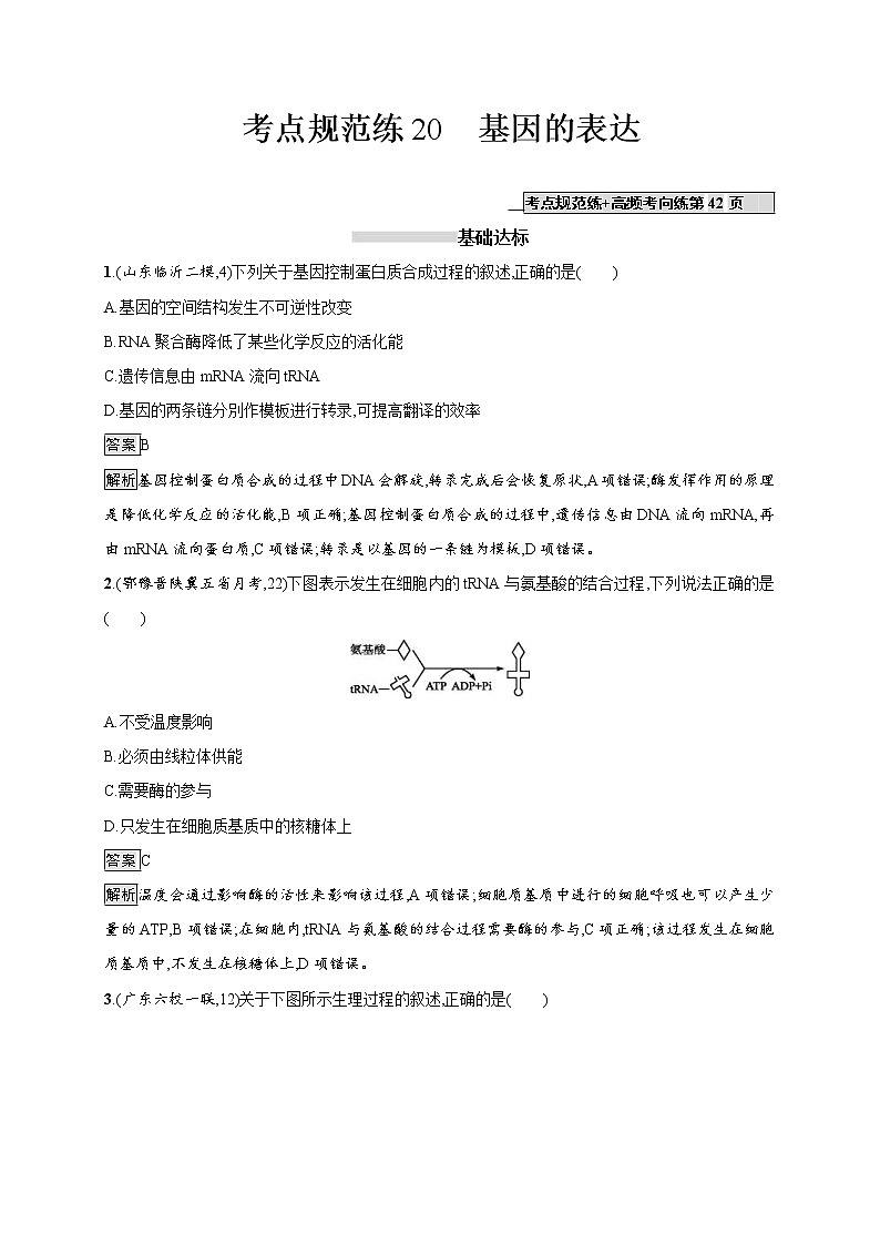 高考生物一轮复习考点规范练20《基因的表达》（含详解）第1页