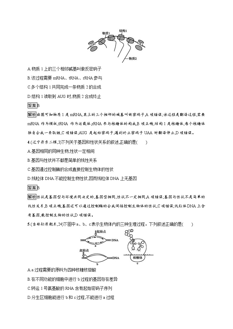 高考生物一轮复习考点规范练20《基因的表达》（含详解）第2页