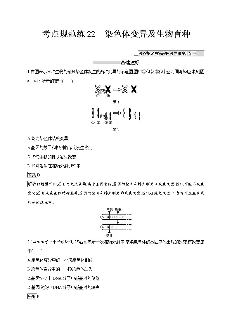 高考生物一轮复习考点规范练22《染色体变异及生物育种》（含详解）第1页