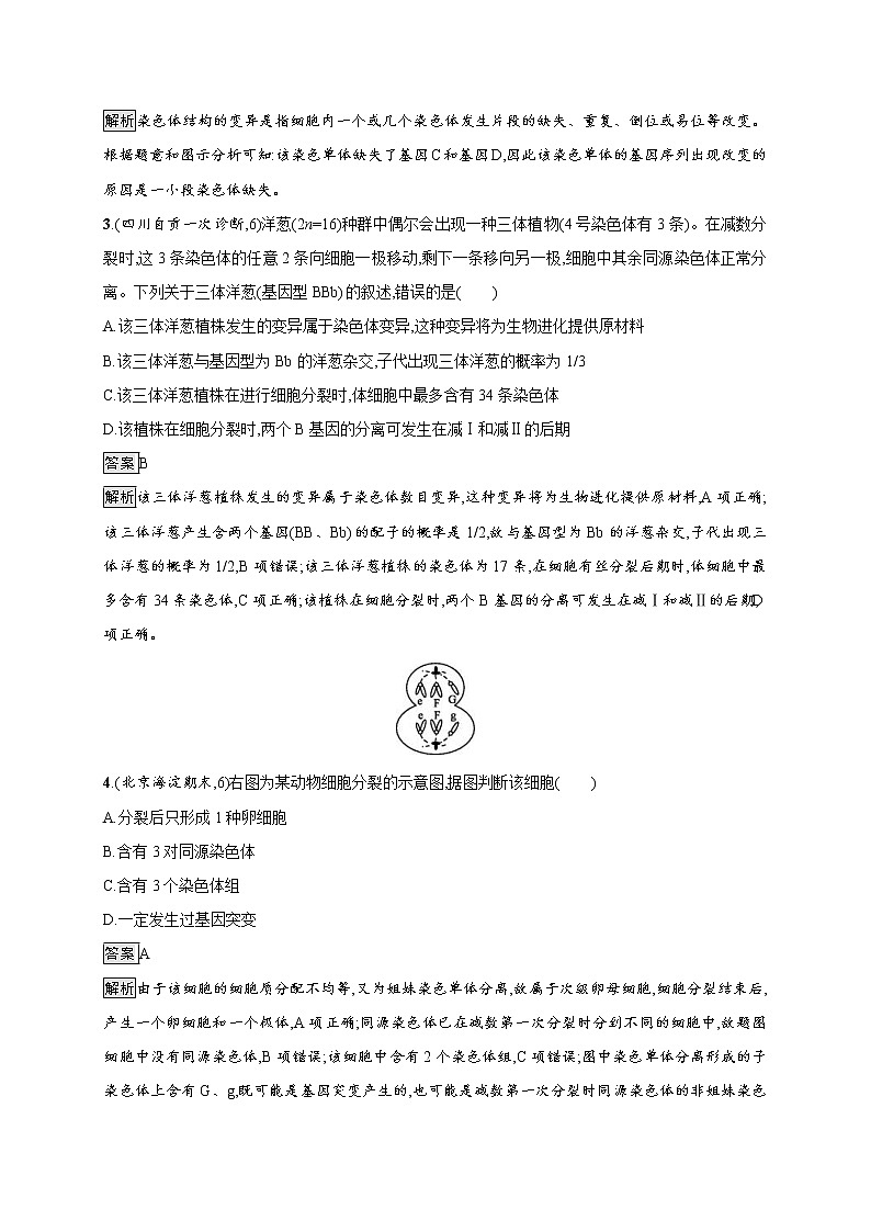 高考生物一轮复习考点规范练22《染色体变异及生物育种》（含详解）第2页