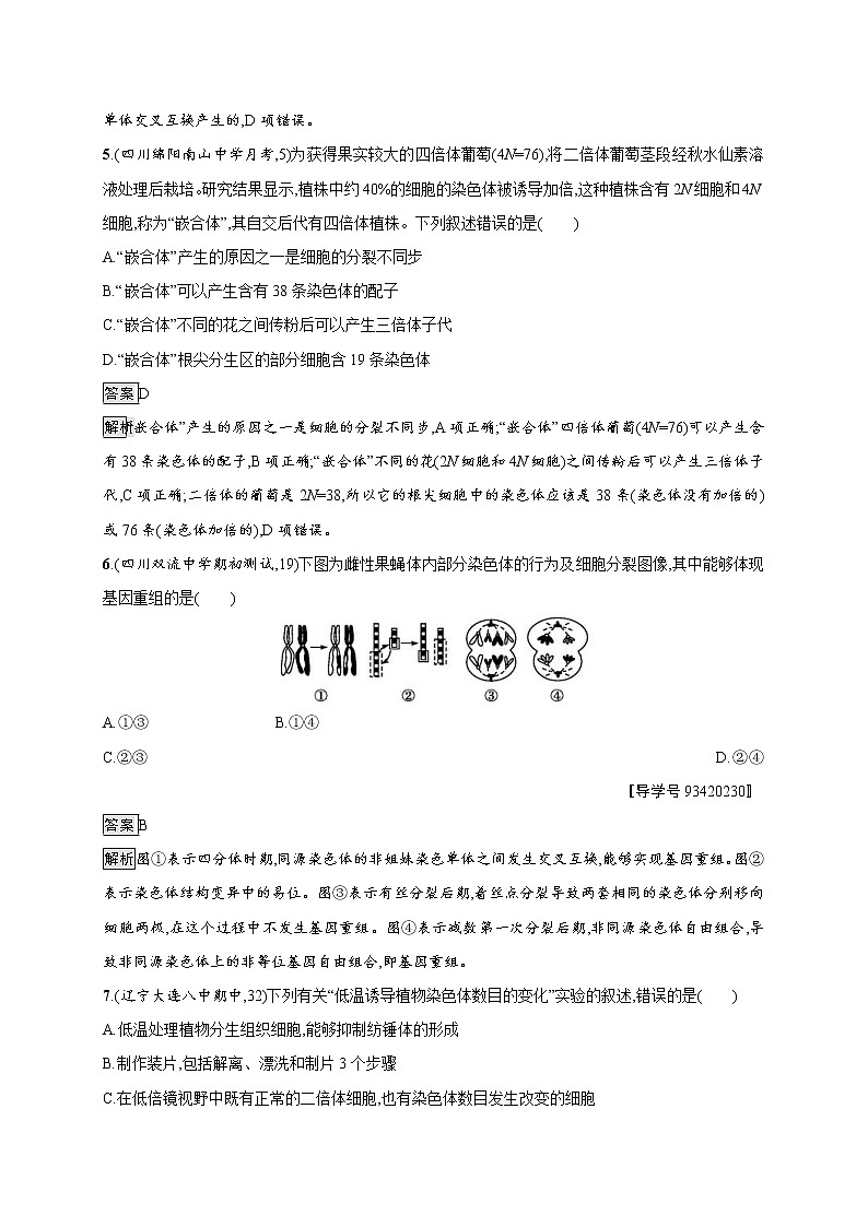 高考生物一轮复习考点规范练22《染色体变异及生物育种》（含详解）第3页