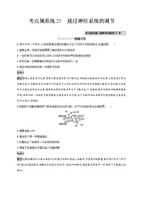 高考生物一轮复习考点规范练25《通过神经系统的调节》（含详解）