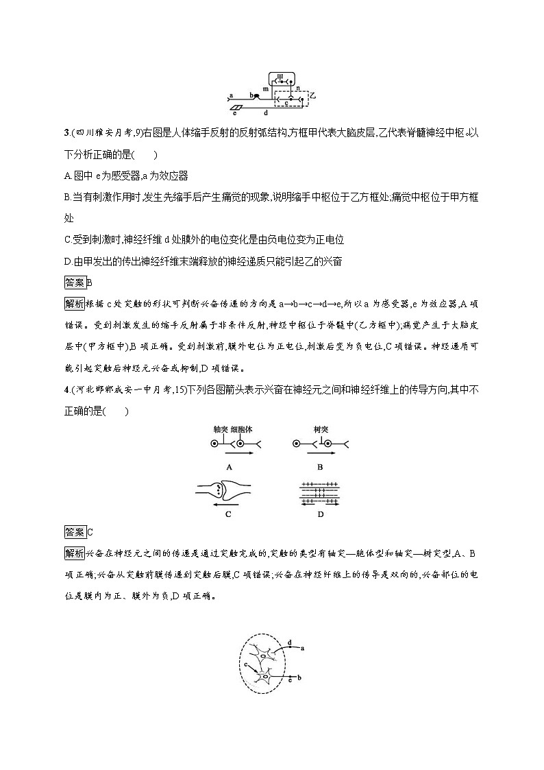 高考生物一轮复习考点规范练25《通过神经系统的调节》（含详解）02