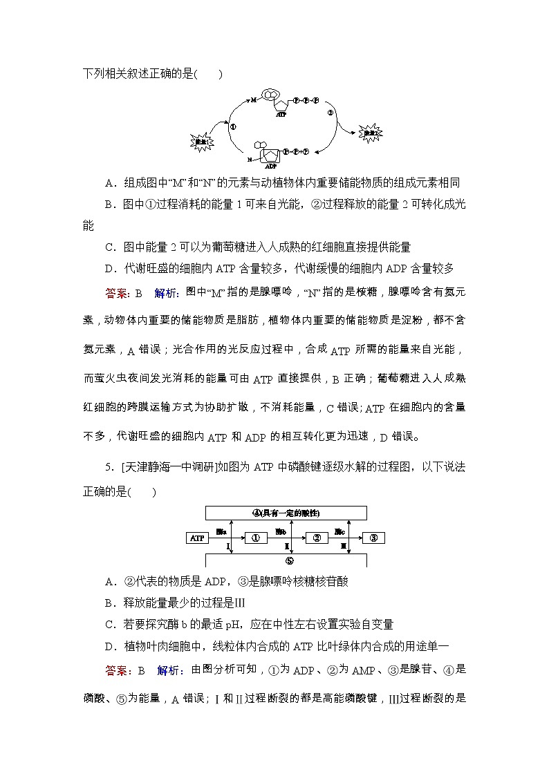 高考生物一轮复习课时作业08《ATP和酶》（含详解）第3页