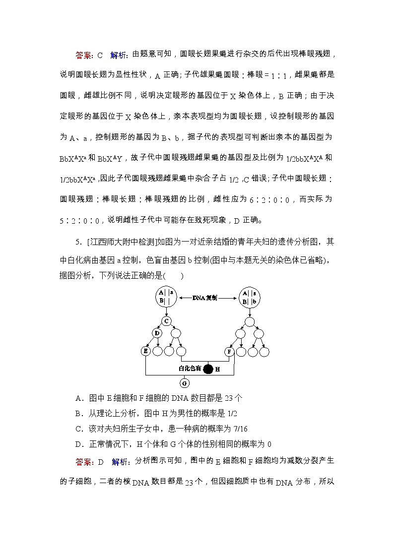 高考生物一轮复习课时作业18《基因在染色体上　伴性遗传》（含详解）第3页