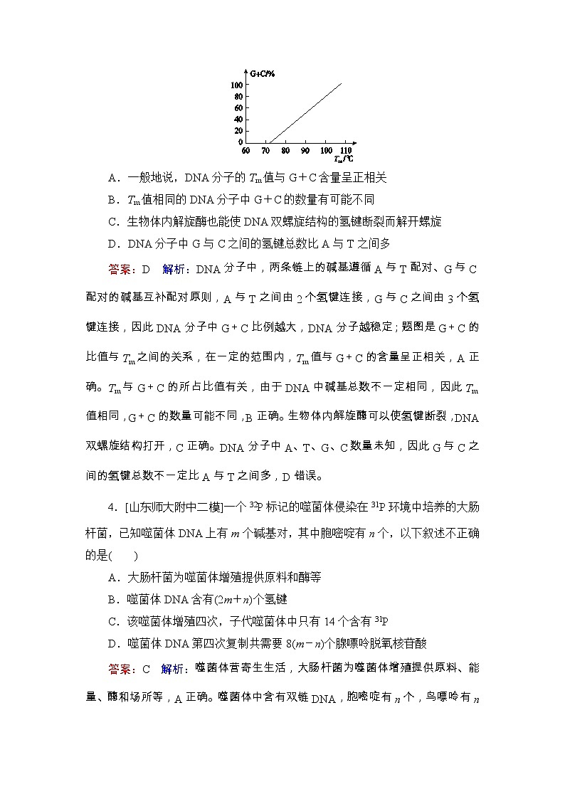 高考生物一轮复习课时作业21《DNA的分子结构、复制及基因的本质》（含详解） 练习02