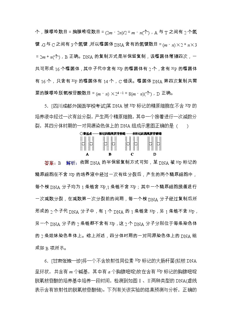 高考生物一轮复习课时作业21《DNA的分子结构、复制及基因的本质》（含详解） 练习03