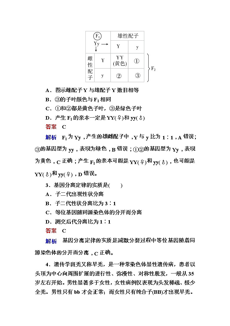高考生物一轮复习特训：14孟德尔的豌豆杂交实验（一） Word版含解析第2页