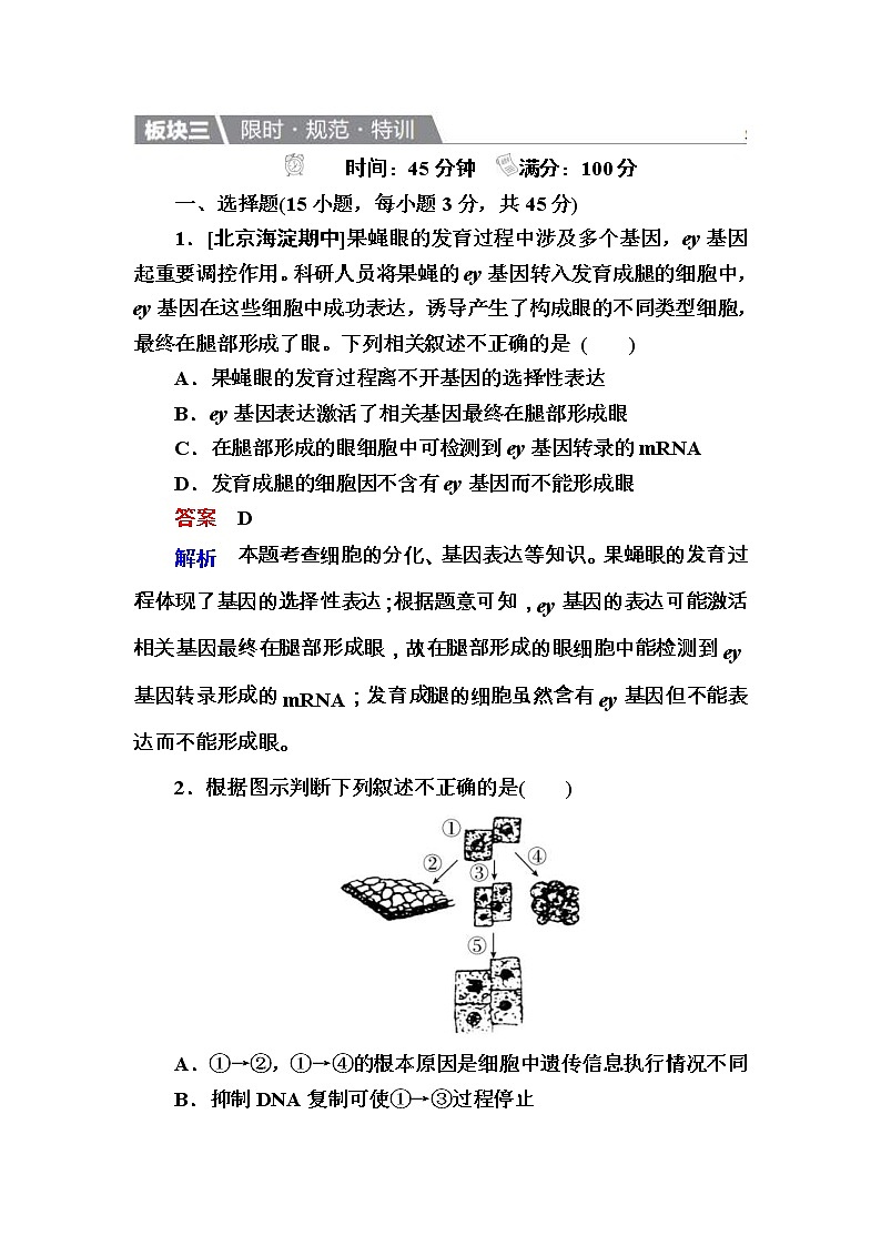 高考生物一轮复习特训：13细胞的分化、衰老、凋亡及癌变 Word版含解析第1页