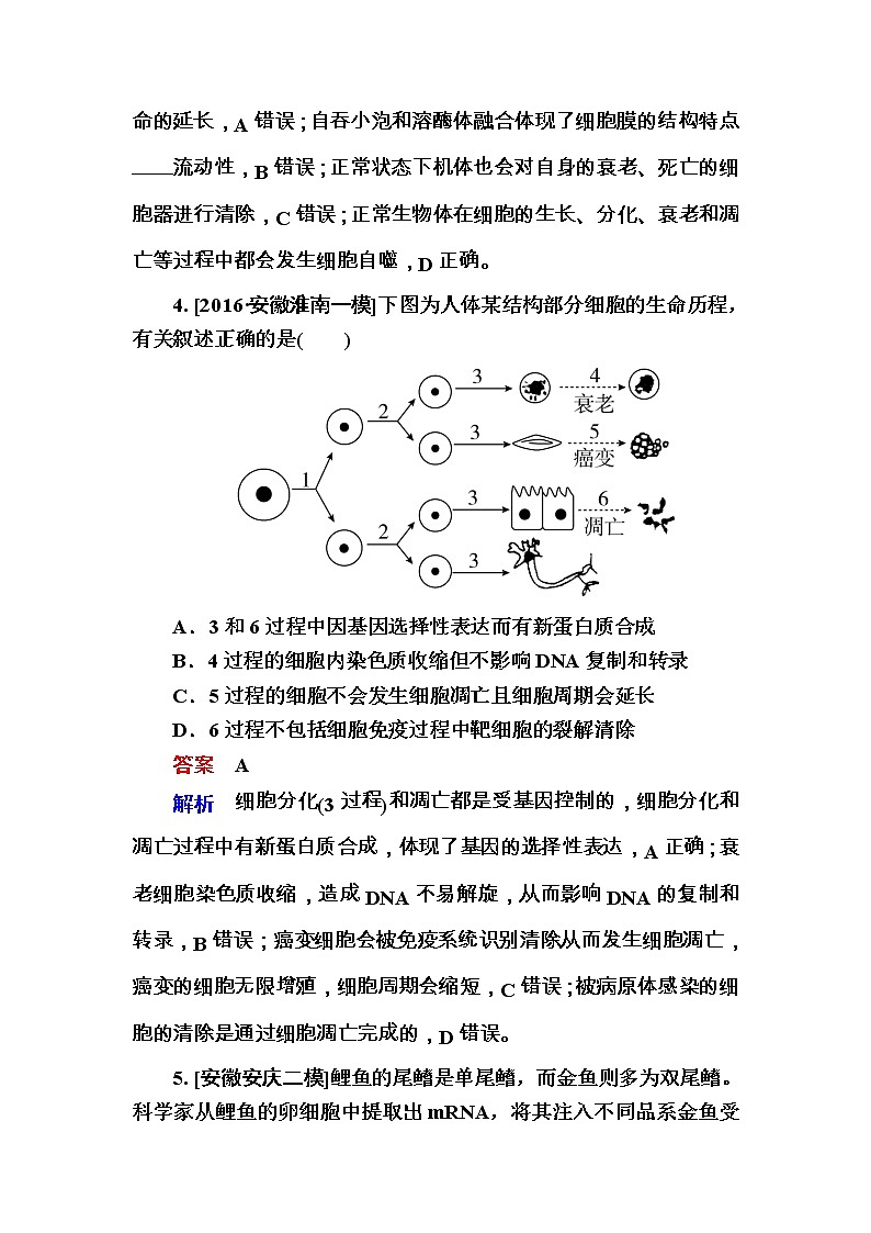 高考生物一轮复习特训：13细胞的分化、衰老、凋亡及癌变 Word版含解析第3页