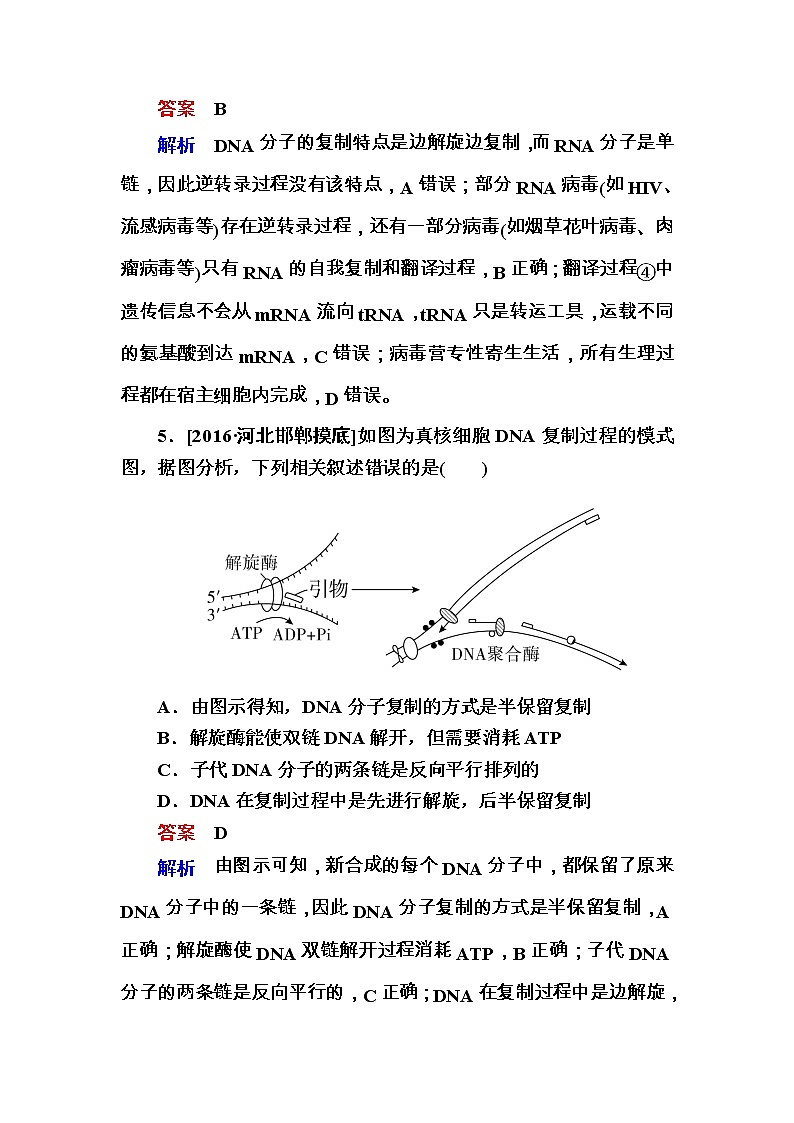 高考生物一轮复习特训：19DNA分子的结构和复制　基因是有遗传效应的DNA片段 Word版含解析第3页